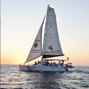 topcat sailing